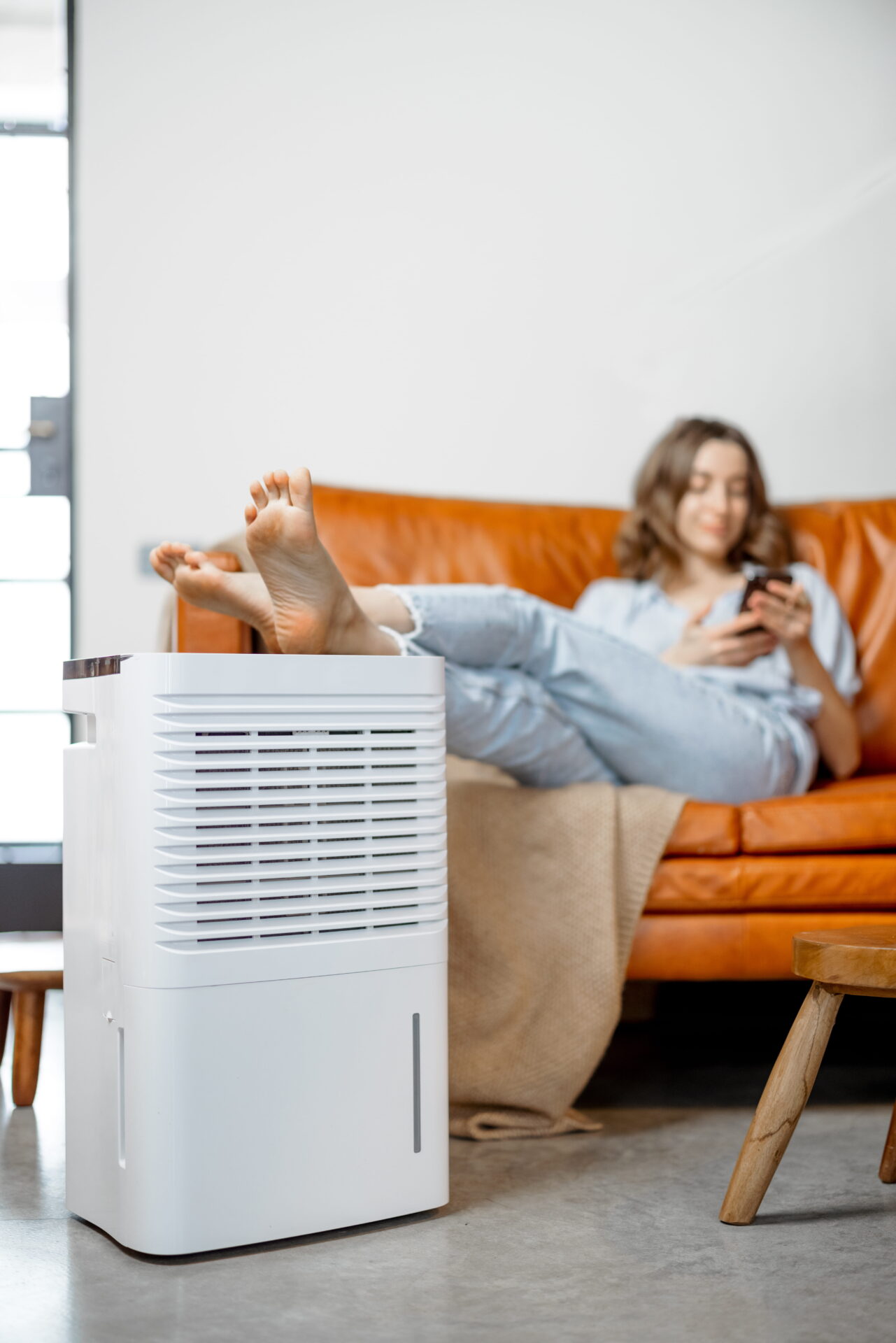 dehumidifier to eliminate mold.