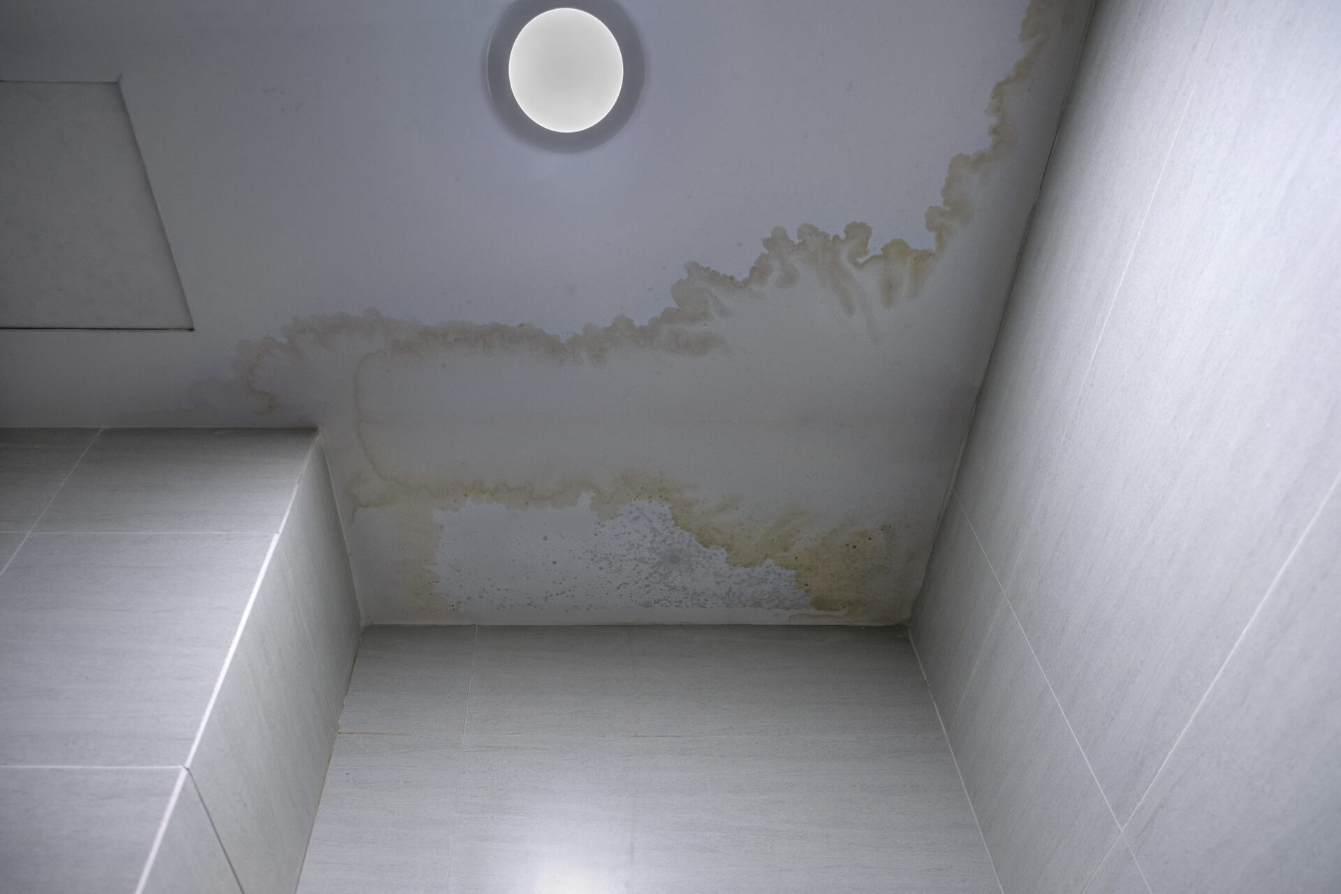 ignoring water damage at home.