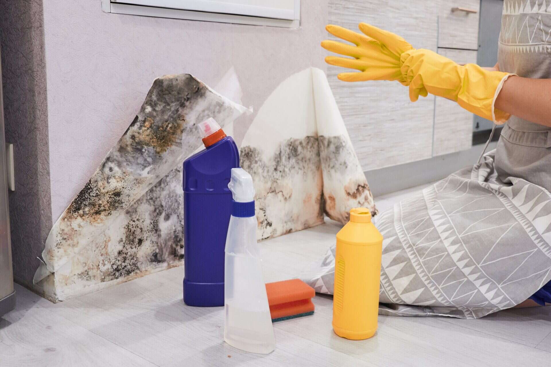 unexpected areas mold can grow